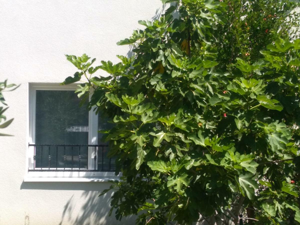 Apartment Simply Rodin คาชเตลา ภายนอก รูปภาพ